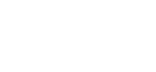 Vallum Associates white pulse logo