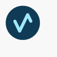 Vallum associates favicon